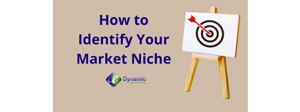 How to Identify Your Market Niche by eDynamic Marketing