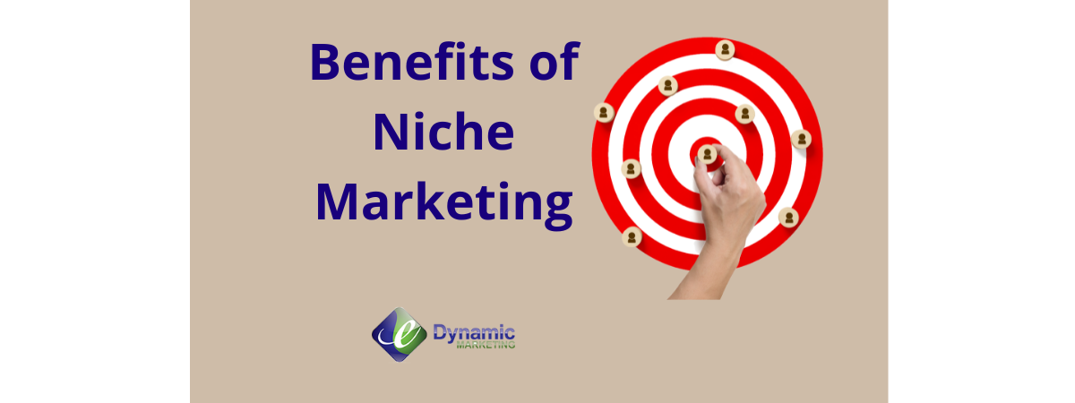 How to Identify Your Market Niche by eDynamic Marketing.